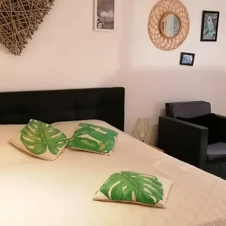 Cosystudio Site Du Futuroscope