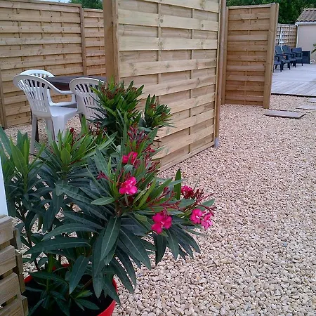 Cosystudio Site Du Futuroscope