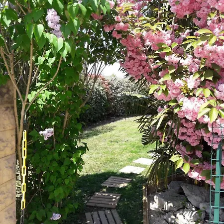 Nyaraló Cosystudio Site Du Futuroscope