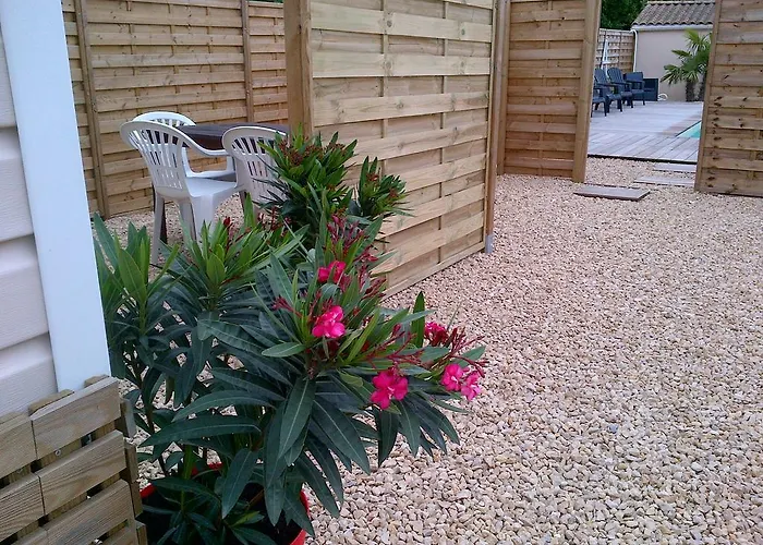 Cosystudio Site Du Futuroscope